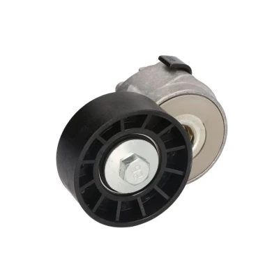 Abbildung von DAYCO APV1075 Riemenspanner