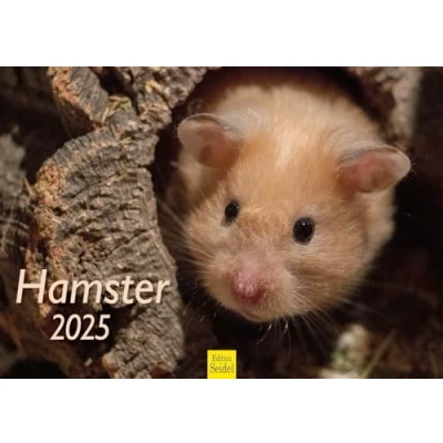 Abbildung von Edition Seidel Premium Kalender Hamster 2025 Format DIN A3 Wandkalender Tierkalender Säugetier Haustier Nager Nagetier