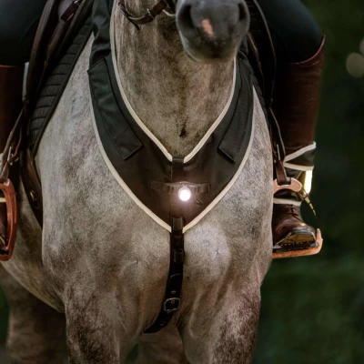Abbildung von Kavalkade Breastplate Horselight Front Lamp