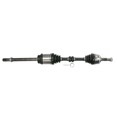 Abbildung von Antriebswelle PASCAL G21056PC