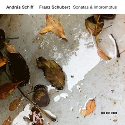 Abbildung von Franz Schubert: Sonatas &amp; Impromptus