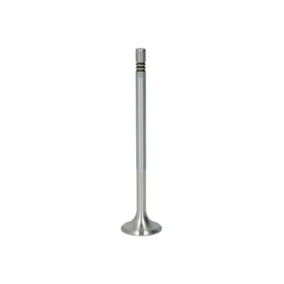 Abbildung von FRECCIA R6756/BMCR Auslaßventil 24,7 Ventilschaftende gehärtet, Ventilschaft verchromt