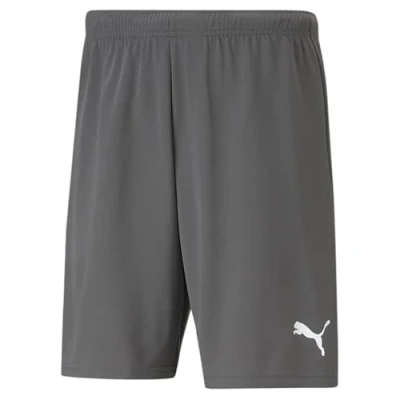 Abbildung von PUMA teamRISE Short