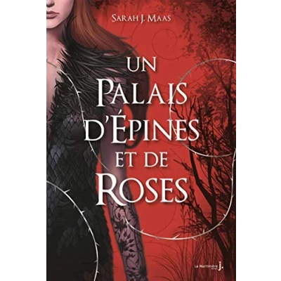 Abbildung von Un Palais d&#039;épines et de roses T1: (ACOTAR)