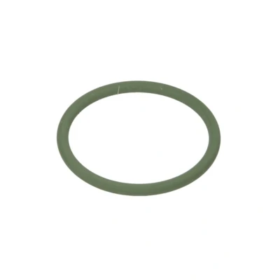 Abbildung von DT Spare Parts 1.24305 Dichtring