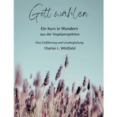 Abbildung von Gott wählen: Ein Kurs in Wundern aus der Vogelperspektive