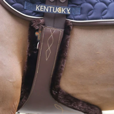 Abbildung von Kentucky Sattelgurtschoner Sheepskin Stud Braun 130cm Agradi.deVerkauft von Agradi