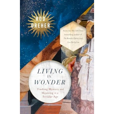 Abbildung von Living in Wonder: Finding Mystery and Meaning a Secular Age