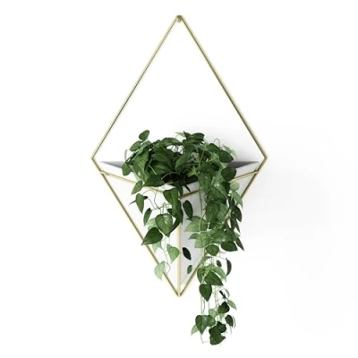 Abbildung von Umbra Trigg Wandvase &amp; Geometrische Deko Übertopf Für Zimmerpflanzen, Sukkulenten, Luftpflanzen, Kakteen, Kunstpflanzen und Mehr, Weiss/Messing, Gross