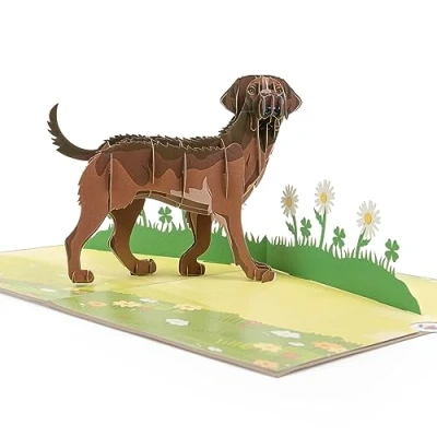 Abbildung von LIMAH® Pop Up Hundekarte, Geburtstagskarte Glückwunschkarte, Freundschaftskarte, Geschenkkarte, Überraschungskarte mit einem großen Hund (Labrador) und einer grünen 3D Wiese (Braun)