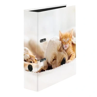 Abbildung von Original Falken Motiv Ordner Pets. Made in Germany. 8 cm breit DIN A4 Ringordner Aktenordner Briefordner Plastikordner Motivordner Tiere Hund und Katze