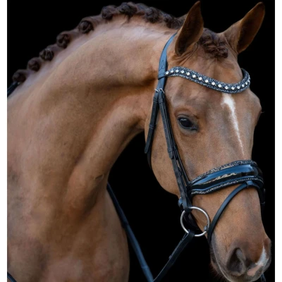 Abbildung von HB Zaum Showtime It is So Special Schwarz/Schwarz Funkeln Warmblut Agradi.deVerkauft von Agradi