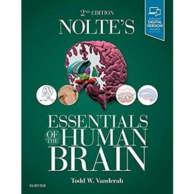 Abbildung von Nolte&#039;s Essentials of the Human Brain: With STUDENT CONSULT Online Access