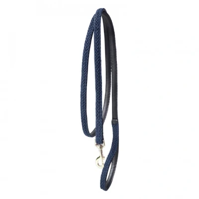 Abbildung von Kentucky Plaited Nylon dog lead 2m