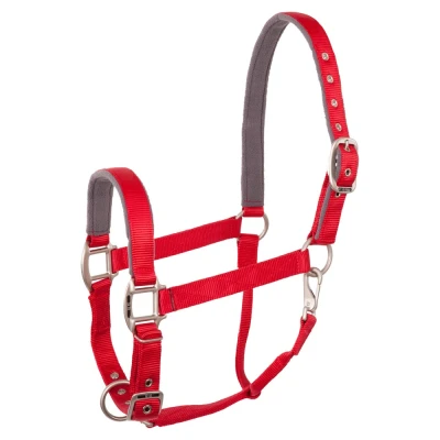 Abbildung von BR Halfter Event Doppelt Verstellbar Florid Rot Warmblut