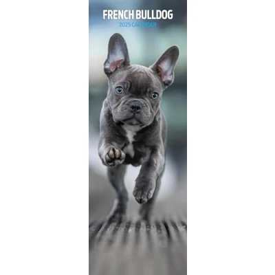 Abbildung von Schmaler Kalender 2025 Französische Bulldogge