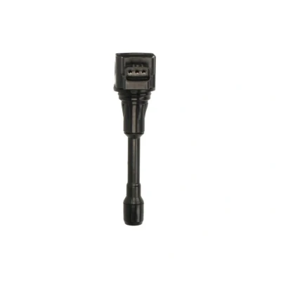 Abbildung von DELPHI GN10241 12B1 Zündspule 3 12 NISSAN: Qashqai / Qashqai+2 I