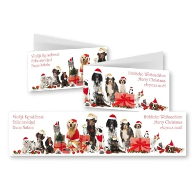 Abbildung von Edition Colibri 10 lustige XL Weihnachtskarten im Panorama Format Set mit Umschlägen: 42 cm breite Klappkarten witzigen Tieren (Hunden und Katzen) (11156)