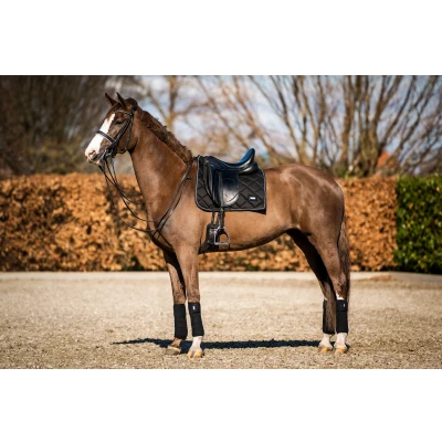 Abbildung von HB Showtime Schabracke Crown Dressur Schwarz Pony