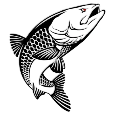 Abbildung von Finest Folia Fisch Aufkleber für Auto Motorrad Boot Schlauchboot Angelbox Sticker Autoaufkleber Angler Fische selbstklebend wetterfest wasserfest K174 (Schwarz Glanz, Motiv 06)