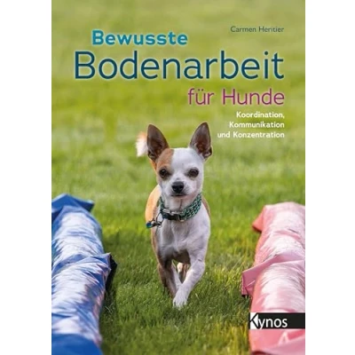 Abbildung von Bewusste Bodenarbeit für Hunde: Koordination, Kommunikation und Konzentration