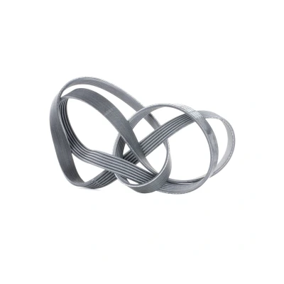 Abbildung von CONTITECH 6PK1705 Keilrippenriemen 1705 6 BMW: 3 Saloon, Touring, Coupe, MERCEDES BENZ: E Class C GLK, FIAT: Ducato III Van