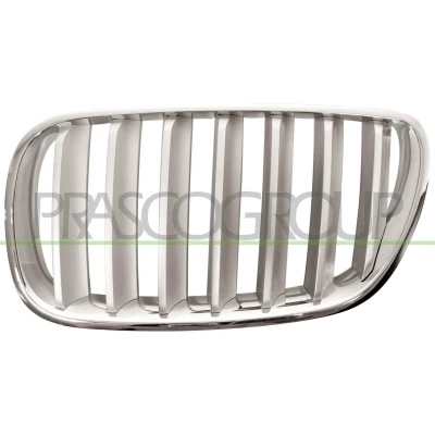 Abbildung von BLIC 6502 07 00939930P Kühlergrill vorne links titan, chrom BMW: X3