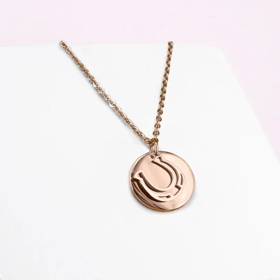 Abbildung von Ponytail&amp;Co Anhänger Münze mit Hufeisen Roségold