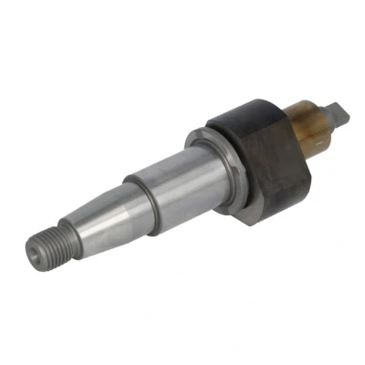 Abbildung von Elemente der CR Pumpe BOSCH F 01M 101 241