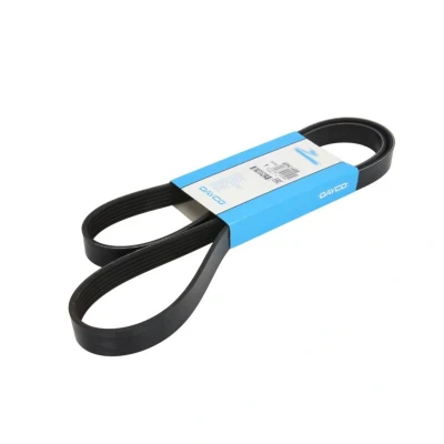 Abbildung von DAYCO 6PK1495 Keilrippenriemen 1495,0 6