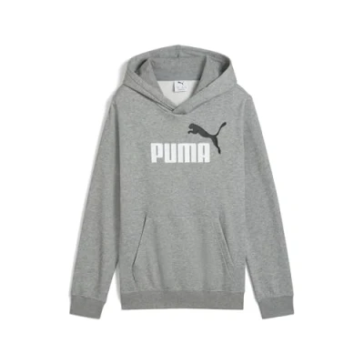 Abbildung von PUMA Kapuzensweatshirt »ESS 2 COLOR NO. 1 LOGO HOODIE FL B«