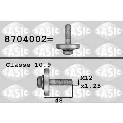 Abbildung von SASIC 8704002 Riemenscheibenschraube RENAULT: SCENIC 3, LAGUNA 3 Grandtour