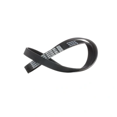 Abbildung von DAYCO 6PK1209 Keilrippenriemen 1209,0 6 RENAULT: CLIO 2, Kangoo I Express, I, OPEL: Meriva B, Mokka / X, Adam, TOYOTA: Yaris II Hatchback