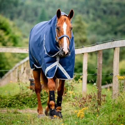 Abbildung von Horseware Winterdecke mit Kapuzenhaube Amigo Bravo 12 Plus Bundle (50g+100g+200g