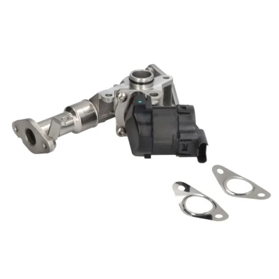 Abbildung von PIERBURG 7.24809.50.0 AGR Ventil elektrisch Steuerventil mit Dichtung BMW: 3 Touring, Saloon, 1 Hatchback