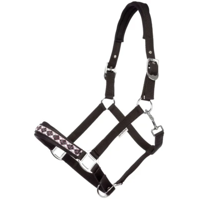 Abbildung von Kavalkade Perlon Halfter Classic Schwarz Pony