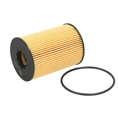 Abbildung von FILTRON OE 669/1 Ölfilter Filtereinsatz RENAULT: Master 2 Kasten, Bus, Pro Platform / Chassis, NISSAN: Patrol GR 5 SUV, Cabstar