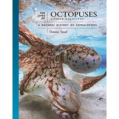 Abbildung von the Lives of Octopuses &amp; Their Relatives: A Natural History Cephalopods (Lives World, 8)
