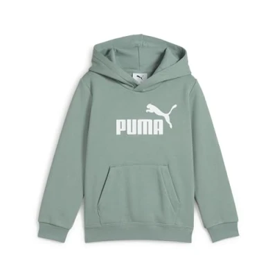 Abbildung von PUMA Unisex Kinder ESS No. 1 Logo Hoodie FL PS Kapuzenpullis, Green Moon, 110