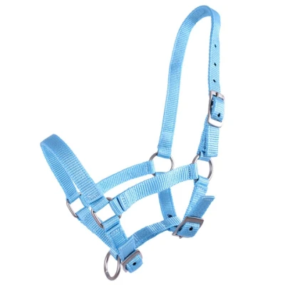 Abbildung von QHP Halter Foal
