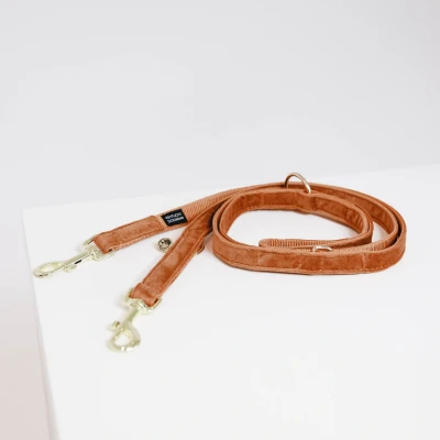 Abbildung von Kentucky Hundeleine Velvet Orange 2m S