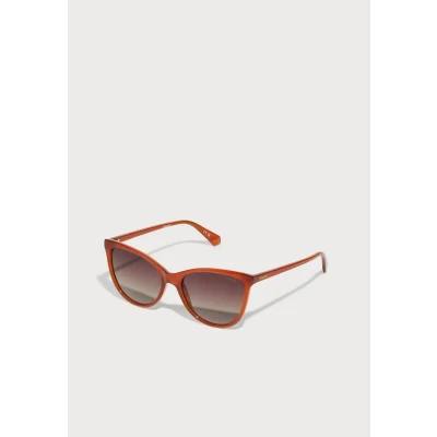 Abbildung von Polaroid Sonnenbrille, Damen, Größe: 55, Ochre