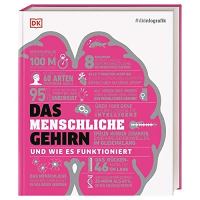 Abbildung von #dkinfografik. Das menschliche Gehirn und wie es funktioniert