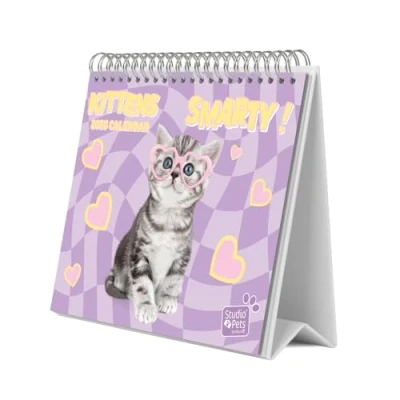 Abbildung von Grupo Erik Kalender 2025 Tischkalender Studio Pets Cat Katzen Familienplaner zum Aufstellen 20 x 17 cm Jahreskalender