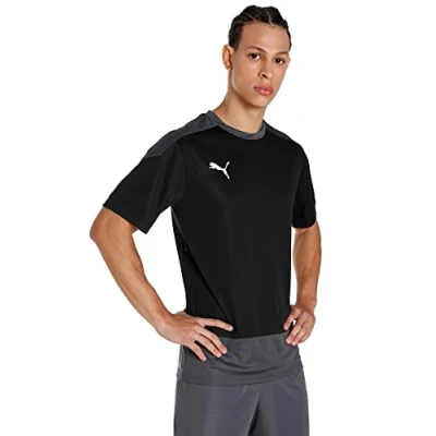 Abbildung von Puma Teamgoal 23 Trainingsshirt Herren Tshirt print, Herren, Größe: Medium, Black / asphalt