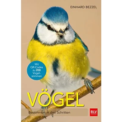Abbildung von Vögel: Bestimmen in drei Schritten (BLV Vögel)
