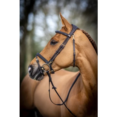 Abbildung von LeMieux Kudos Trense Work Braun Warmblut