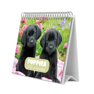 Abbildung von Grupo Erik Kalender 2025 Tischkalender Dogs Simon K. &amp; Greg C. Familienplaner zum Aufstellen 20 x 17 cm Jahreskalender