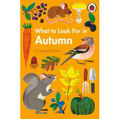 Abbildung von What to Look For in Autumn (A Ladybird Book)