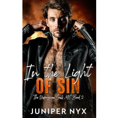 Abbildung von In The Light of Sin: Unforgiven Souls MC Book 2